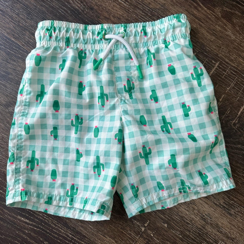 Boys cactus swim trunks 4t